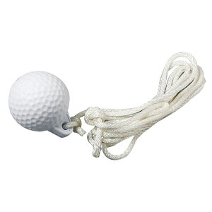 _CSt ЂtXyA{[ (TR434) St K DAIYA GOLF