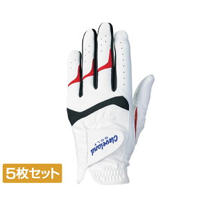 N[uh StO[u ϋvO[u 5Zbg (GGGC002) Y Cleveland