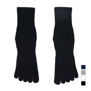 eBS StEFA \bNX t  n 5wV[g\bNX (IG-1K1375GY) Y TIGORA