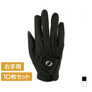 10Zbg COjI StO[u E 1856064110 Ђ瑤Aet Y ܂Ƃߔ IGNIO