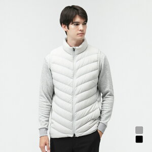 eBS StEFA ȃxXg H ~ _ExXg (TR-1W1625DV) Y TIGORA