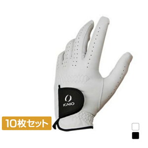 10Zbg COjI StO[u Y  VRrv IG-1G1026GG ܂Ƃߔ IGNIO