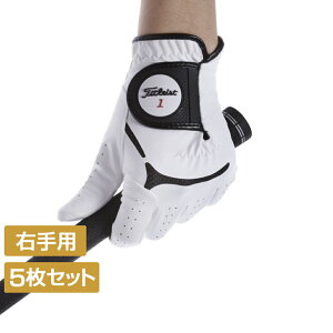 5Zbg ^CgXg StO[u 19 X[p[Obv Ep 9683377208 ٓIȃObv͂ƍϋv Y zCg Titleist