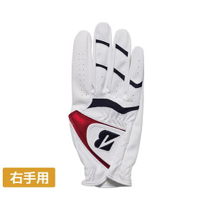 uaXg StEFA StO[u GLG21R STRONG DUAL  E GLG21R jォĂȂǋ 2 w\胂f Y BRIDGESTONE