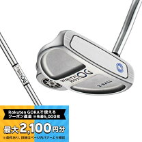 楽天市場】オデッセイ ホワイトホット 2ボール パターの通販