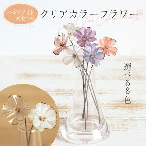 yP10{ 12/31܂ŁIz  o NAJ[t[(1{)  ޗ   l wbhp[c CeA CeAt[ tFCNt[ ԍ AXJ ASCA AXJ