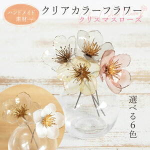 yP10{ 12/31܂ŁIz  o NAJ[t[ NX}X[Y(1{)  ޗ   l wbhp[c A[eBtBVt[ jQ t AXJ ASCA AXJ