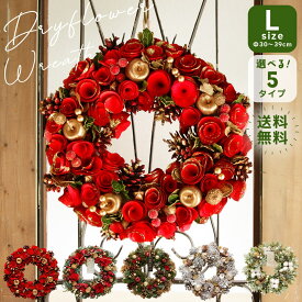 クリスマス リース 即日出荷 ドライ木の実のクリスマスリースL 玄関 クリスマスリース ドライリース ナチュラルリース 木の実のリース インテリアリース 送料無料 外 壁掛け 大きい Lサイズ 冬 造花 スワッグ ハンガー ツリー クリスマスツリー