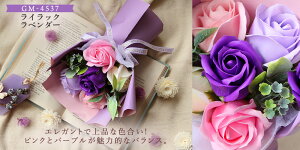 ő50~OFFN[|IubNtCf[ \[vt[ v[g o X^fBOu[P S ԑ ̓ a j ̂܂܏ av[g ސEj  M