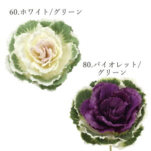 yP10{ z   o t{^S  ޗ AW  AWp[c }t nhCh   f   VNt[ tFCN p