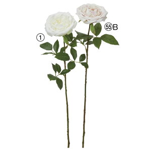 yP10{ 12/31܂ŁIz  Ƃ悹i [Y o KN KN sN CeA CeAt[ tFCNt[ VNt[ CeAO[ ԍ t AXJ ASCA AXJ