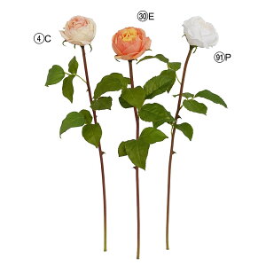  Ƃ悹i CObV[Y o KN  i  s[` sN I[h[Y [bg uC_ u[P ޗ ԍ  AXJ ASCA AXJ