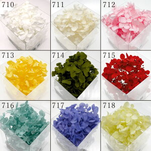 yP10{ z vU[uht[ ԍ o AixAWTC  F̔ZW܂ ԍ f ޗ p[c 󂠂 P  v`v  Aix AWTC 