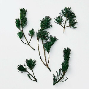 vU[uht[ ԍ Ƃ悹i ܗtETCYA\[g ԍ f ޗ p[c  vU[uht[  }t }tAW t n_