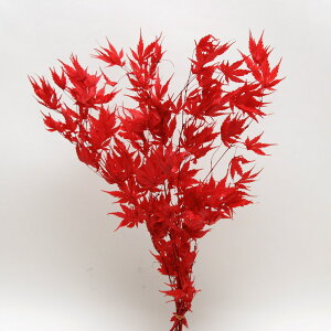 yP10{ z vU[uht[ ԍ o ݂ bh ԍ f ޗ p[c ~W gt bh  XbO u[P hCt[ vU ԑ [X AW n_