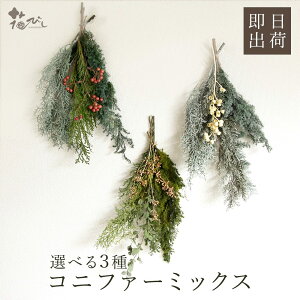 vU[uht[ ԍ o Rjt@[~bNX ԍ f ޗ p[c hCt[ NX}X XbO c[ [X O[ [t t u[P  n_