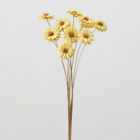 ハンドメイドフラワー 花材 即日出荷 マーガレットフラワー モーニングイエロー 花材 素材 材料 パーツ ドライフラワー ハンドメイドフラワー マーガレット 黄色 イエロー シャーベットカラー ひまわりの種 スワッグ ブーケ ドライフラワー花束 大地農園