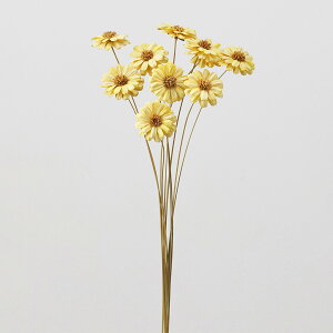 nhCht[ ԍ o }[Kbgt[ [jOCG[ ԍ f ޗ p[c hCt[ nhCht[ }[Kbg F  n_