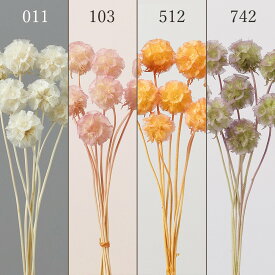 ドライフラワー 花材 即日出荷 ステルンクーゲル 花材 素材 材料 パーツ スカビオサ オレンジ ピンク 白 パープル グリーン スワッグ ブーケ ドライフラワー花束 ドライフラワースワッグ リース アレンジ アレンジメント ナチュラル 自然素材 卸 大地農園