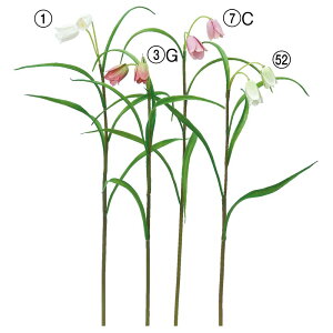 yP10{ 12/31܂ŁIz  Ƃ悹i t`A×2 N S oC LS A~KT Ҋ}S eK VWS t`AEcxM[ t AXJ ASCA AXJ