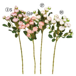 yP10{ 12/31܂ŁIz  Ƃ悹i [Y×14 o KN Jbv炫 IW  sN sNIW x[W  CeA CeAt[ ԍ Ԏ AXJ ASCA AXJ