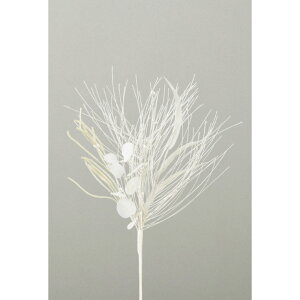 yP10{ 12/31܂ŁIz NX}X  O[ Ƃ悹i Ob^[~bNXpCsbN NX}X NX}XCeA NX}XAW  ؂̎ lHA AXJ ASCA AXJ