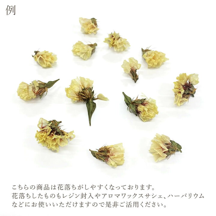 楽天市場】ドライフラワー 花材 即日出荷 スターチス 花材 スワッグ  