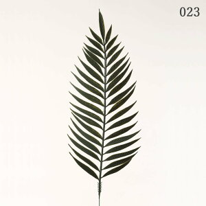 yP10{ 12/31܂ŁIz  O[ Ƃ悹i AJt@ AJV q̗t p[[t CeA tFCN O[ p[c CeAt[ tFCNt[ VNt