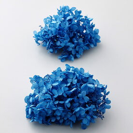 プリザーブドフラワー 花材 即日出荷 ピラミッドアジサイ・ヘッド ブルー 花材 素材 材料 パーツ アジサイ あじさい 紫陽花 花びら 青 ブルー 水色 レジン封入 アロマワックスサシェ ハーバリウム プリザーブドフラワー スワッグ ブーケ 花束 卸 大地農園