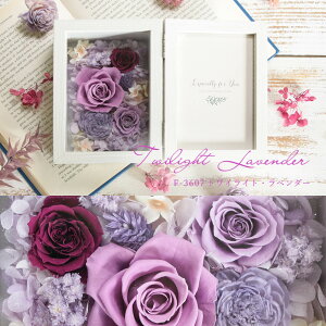 vU[uht[ v[g o ʐ^ j tHgX^h tHgt[ ̂܂܏ av[g {bNX  o Mtg KN IV 