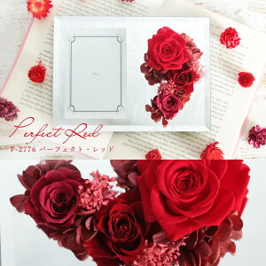 vU[uht[ v[g o tHg~[ ʐ^ j tHgX^h tHgt[  ~[ ̂܂܏ av[g {bNX  o