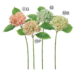  Ƃ悹i nChWA  AWTC z nChWA ZCEAWTC mz CeA CeAt[ ԍ f AXJ ASCA AXJ