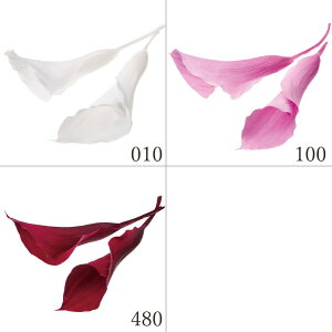 vU[uht[ ԍ Ƃ悹i J[[E (3֓) hCt[ ԍ f p[c ޗ J[B  S vU[uht[   n_