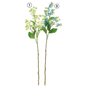 yP10{ 12/31܂ŁIz  Ƃ悹i ~jt[Xv[×30  ԍ  zCg  u[ CeA CeAt[ tFCNt[ VNt[ f AXJ ASCA AXJ