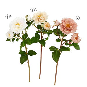 yP10{ 12/31܂ŁIz  Ƃ悹i eB[[Y×2 ڂ×1 o KN i sN ݃sN  x[W uC_ u[P ޗ ԍ  Ԏ t AXJ ASCA AXJ