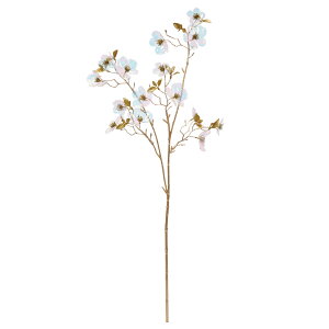 yP10{ z NX}X  Ƃ悹i CfBZgubT×15 I[ LL Ό ʒF F NX}X NX}XAW NX}Xc[ AXJ ASCA AXJ