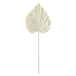 NX}X  O[ Ƃ悹i p[[t N[ NX}X NX}X NX}X NX}XAW [t z[[ t  CeA p