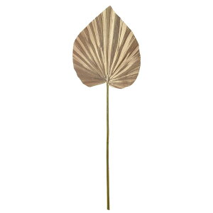 yP10{ z NX}X  O[ Ƃ悹i p[[t Vp NX}X NX}X NX}X NX}XAW [t z[[ t  G ޗ p