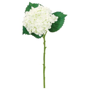  Ƃ悹i nChWA  AWTC z nChWA ZCEAWTC mz  zCg CeA tFCNt[ AXJ ASCA AXJ