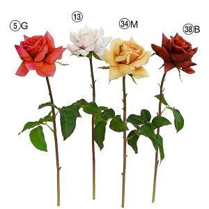 yP10{ 12/31܂ŁIz  Ƃ悹i [Y o KN i  Ԃo sN  x[W ٍc炫 KN uC_ u[P ޗ ԍ  CeA AXJ ASCA AXJ