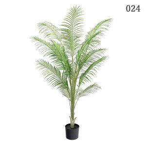 tFCNO[ ϗtA y[J[iz t@[|bg 170cm ssEiƂ̓st ϗtA 1.7m  lHϗt V AJp[ q  t