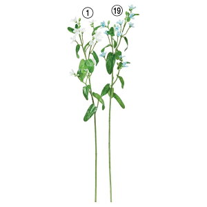 yP10{ 12/31܂ŁIz  Ƃ悹i u[X^[×11  zCg u[  F ILVy^ gE^ ڗ F̉ CeA CeAt[ DIY AXJ ASCA AXJ