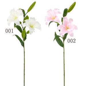 yP10{ z  Ƃ悹i JTuJ JTuJ [ B[  AW ԍ zCg  sN sN S   CeA VNt[