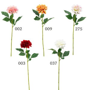 yP10{ z  Ƃ悹i _AVOXv[ VO Ă񂶂ڂ eWN{^ CeA CeAt[ tFCNt[ VNt[ CeAO[ t