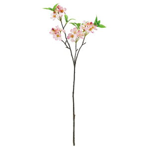  Ƃ悹i ubT×20 ڂ×4 sN  CeA CeAt[ tFCNt[ VNt[ ԍ AWg f AXJ ASCA AXJ