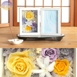 ő50~OFFN[|IyVX[p[SALE  vU[uht[ o ʐ^ ~ ~    tHgt[ ʐ^  p d O ފ @ ̐l 