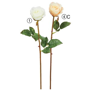  Ƃ悹i [Y o KN  Jbv炫  zCg sN CeA CeAt[ tFCNt[ VNt[ ԍ f AXJ ASCA AXJ