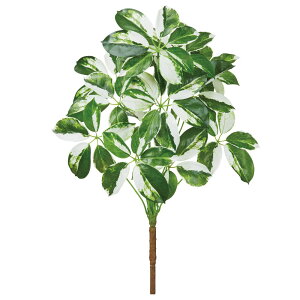 yP10{ 12/31܂ŁIz tFCNO[ ϗtA Ƃ悹i VFtubV  O[ t t ǖʗΉ 썑 CeA  lHϗt tFCNt[ AXJ ASCA AXJ