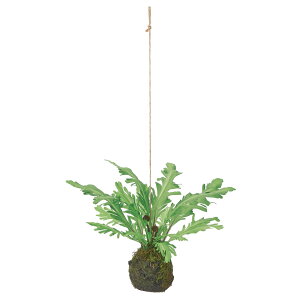  O[ Ƃ悹i nMOX{[(t@[) V_ V_A   RP tFCN O[ p[c AWg tFCNt[ AXJ ASCA AXJ