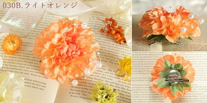 RT[W o ؂₩_Ãp[RT[W u[`  tH[}  Ǝ w  \ X[c s[X p[ Jt wANbv